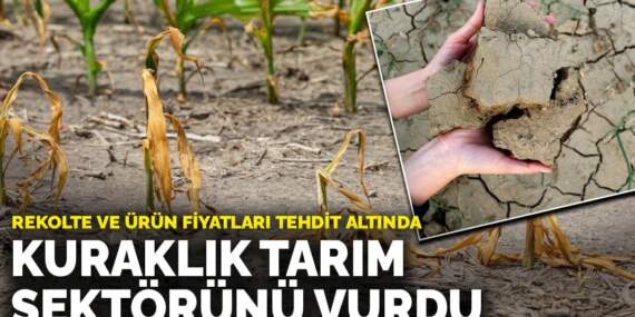 Kuraklık tarım sektörünü vurdu: Rekolte ve ürün fiyatları tehdit altında