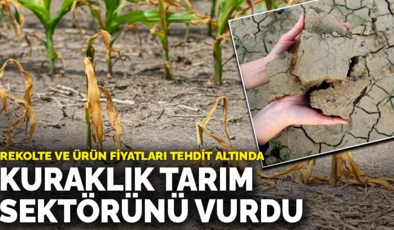 Kuraklık tarım sektörünü vurdu: Rekolte ve ürün fiyatları tehdit altında