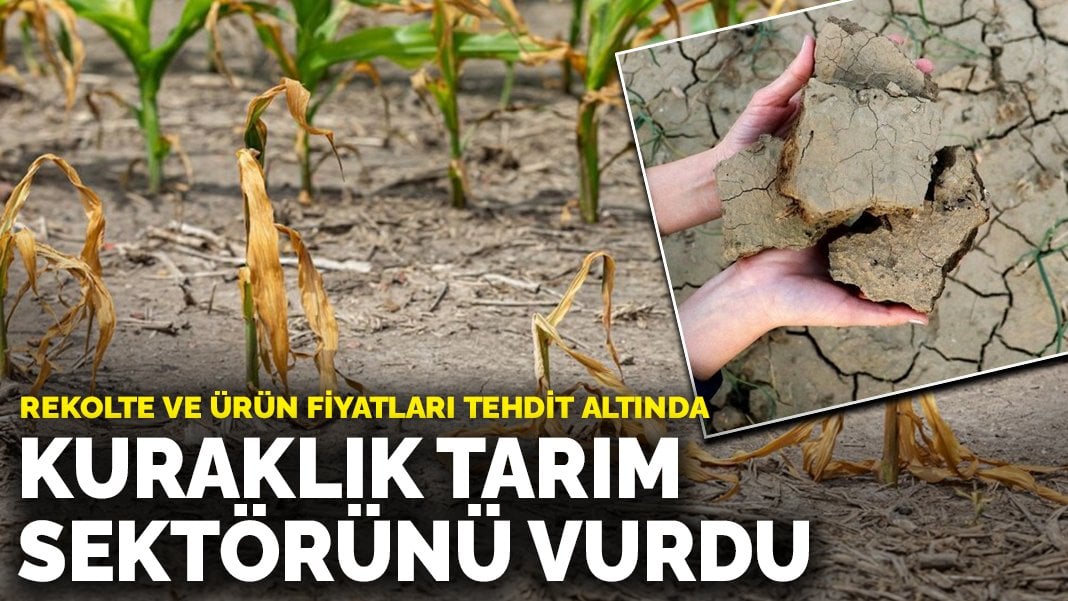 Kuraklık tarım sektörünü vurdu: Rekolte ve ürün fiyatları tehdit altında