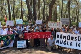 Akbelen davasında Danıştay’dan ‘eksik inceleme’ kararı