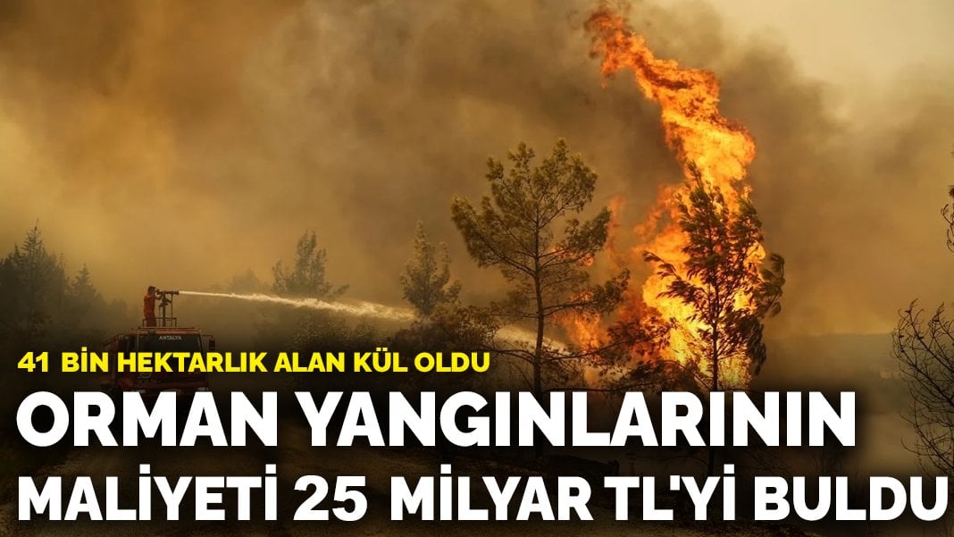 Orman yangınlarının maliyeti 25 milyar TL’yi buldu: Bu yıl 41 bin hektardan fazla alan kül oldu