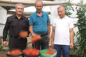 Antalya’da gördü Sivas’taki köyüne kurdu! Kuyumculuktan daha çok kazandırıyor: 125 ton üretim yapıyor