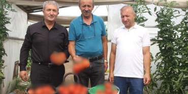 Antalya’da gördü Sivas’taki köyüne kurdu! Kuyumculuktan daha çok kazandırıyor: 125 ton üretim yapıyor