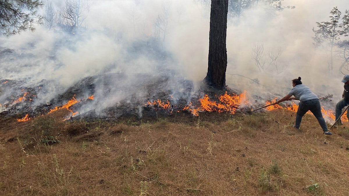 Çanakkale’de orman yangını