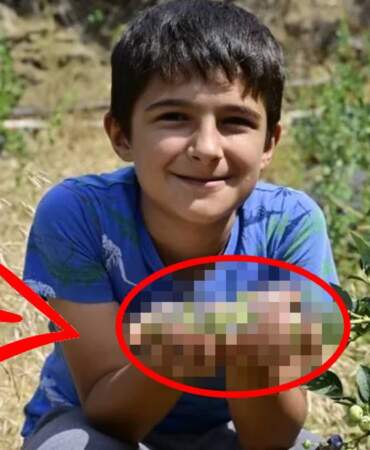 Tutmaz diye ektiği topraktan bereket fışkırdı! 50 yıl ürün veriyor, kilosu 500 TL’den kapış kapış gidiyor