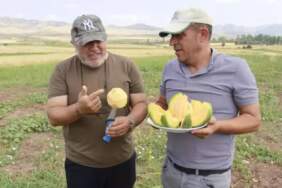 Sadece Yozgat’ta yetişiyor, başka yerde bulunmuyor! Tescilli lezzette hasat vakti: Kilosu değil tanesi 40 TL!