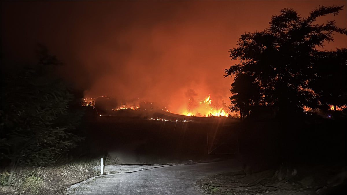 Suriye’deki orman yangınları Türkiye’ye sıçradı