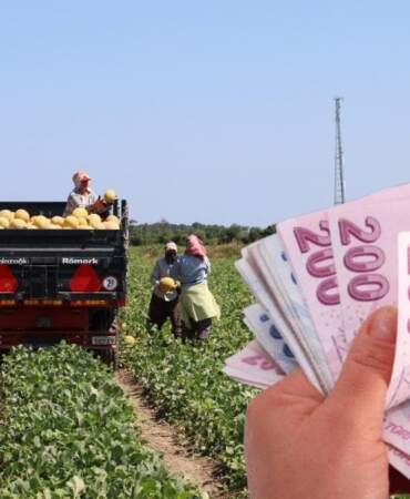 Tarlada 2, markette 8,5 TL! Tarımda planlama eksikliği fiyatları vurdu: Ne üreticinin ne müşterinin yüzü güldü