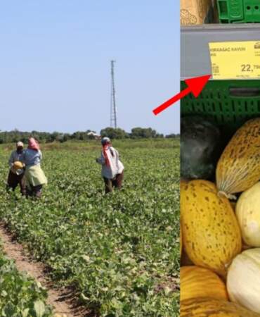 Tarlada 2 TL, markette 8,5 TL! Karpuz ve kavun fiyatlarındaki fahiş fark görüntülendi: Tarlada 9 TL olan kavun markette 25 TL!