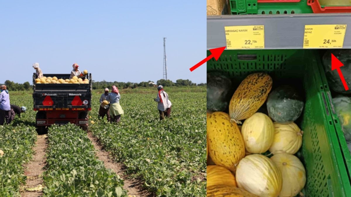 Tarlada 2 TL, markette 8,5 TL! Karpuz ve kavun fiyatlarındaki fahiş fark görüntülendi: Tarlada 9 TL olan kavun markette 25 TL!