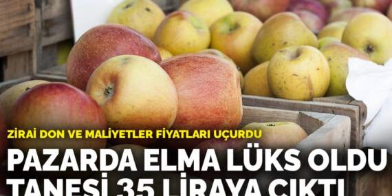 Pazarda elma lüks oldu, tanesi 35 liraya çıktı: Zirai don ve maliyetler fiyatları uçurdu