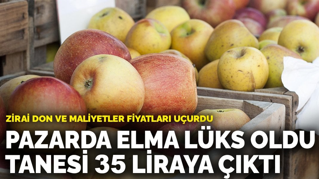 Pazarda elma lüks oldu, tanesi 35 liraya çıktı: Zirai don ve maliyetler fiyatları uçurdu