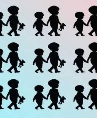 Bu siluetler arasındaki farkı çok az kişi görebiliyor! Siz kaç saniyede bulacaksınız?