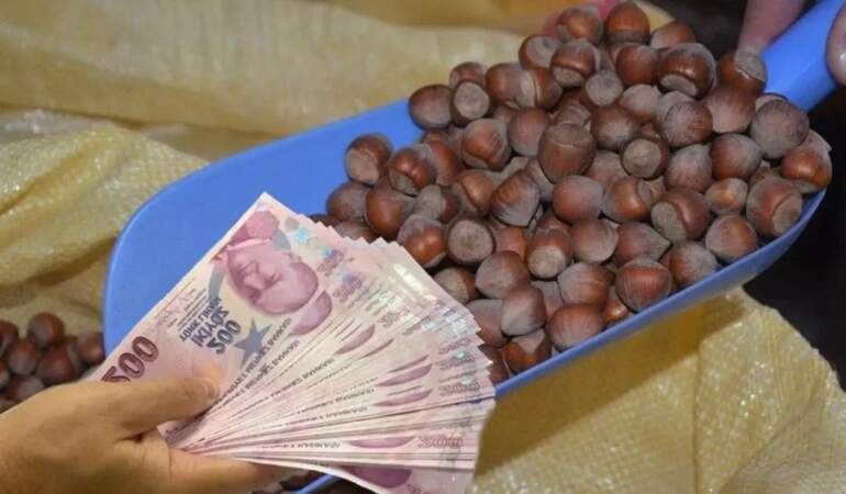Fındık üreticisine müjde: Fiyatlar TMO’nun üzerine çıktı! Uzmanlardan ‘Daha da yükselecek’ uyarısı