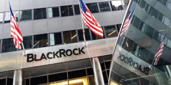 “Şimdiye kadarki en iyi yatırım ortamındayız”- BlackRock CIO’su Rieder