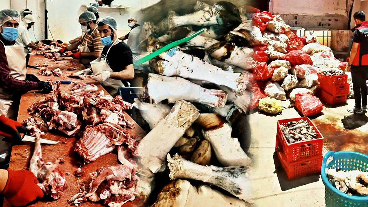 Mide kaldırmaz: Tonlarca kaçak paça yakalandı! Halkın canına kast ediyorlardı