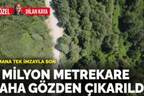 Ormana tek imzayla son: 1 milyon metrekare daha gözden çıkarıldı
