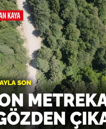 Ormana tek imzayla son: 1 milyon metrekare daha gözden çıkarıldı