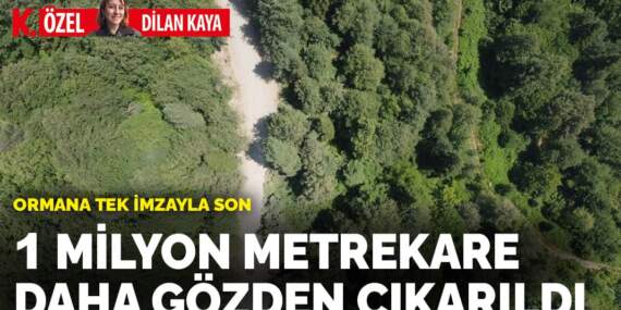 Ormana tek imzayla son: 1 milyon metrekare daha gözden çıkarıldı