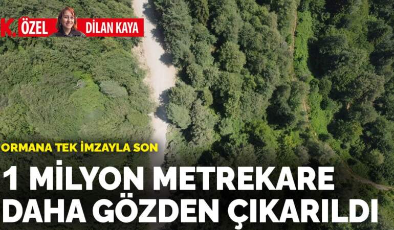 Ormana tek imzayla son: 1 milyon metrekare daha gözden çıkarıldı