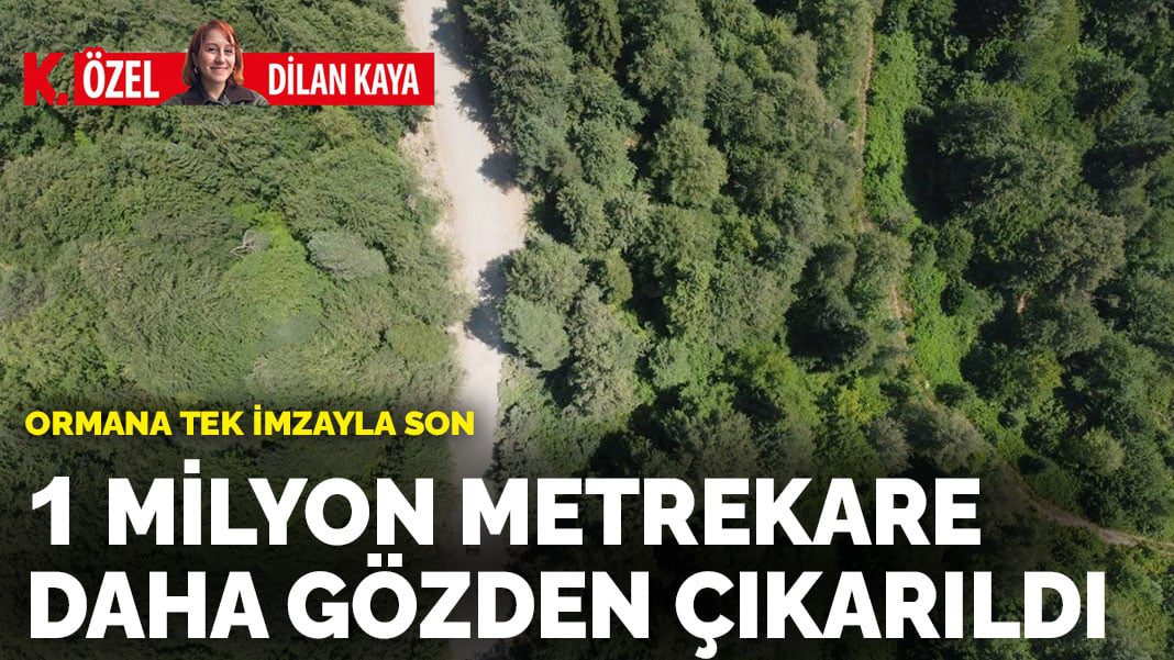 Ormana tek imzayla son: 1 milyon metrekare daha gözden çıkarıldı