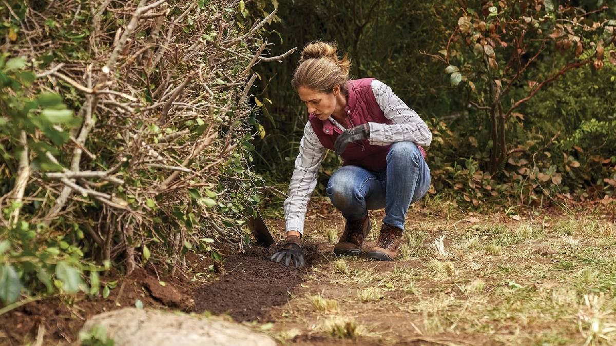 Bahçenizdeki sessiz düşmanlar! Ağustos bitmeden temizlemezseniz zarar büyük: Resmen bereketi kaçırıyorlar