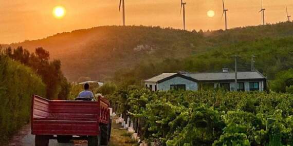 Ege’de saklı bir Avrupa! Zeytinliklerin arasında taş evli huzur köyü: Gideni büyülüyor