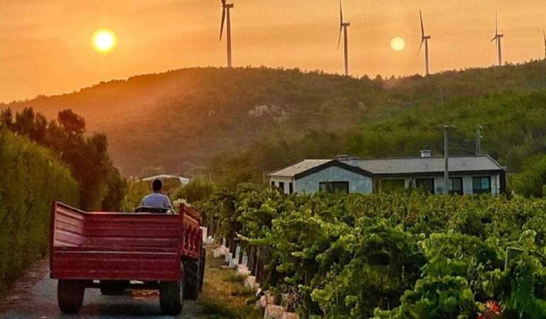 Ege’de saklı bir Avrupa! Zeytinliklerin arasında taş evli huzur köyü: Gideni büyülüyor