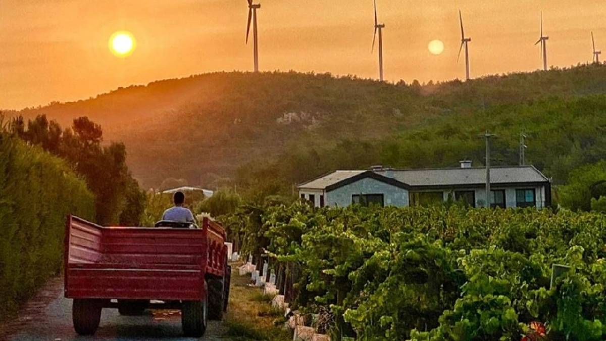 Ege’de saklı bir Avrupa! Zeytinliklerin arasında taş evli huzur köyü: Gideni büyülüyor