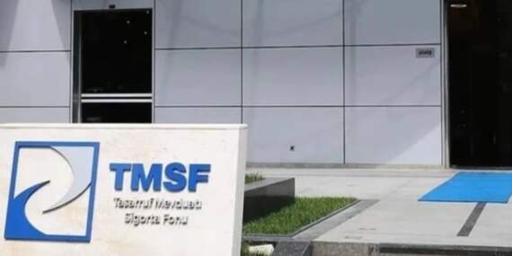 TMSF, dev enerji şirketini satışa çıkardı