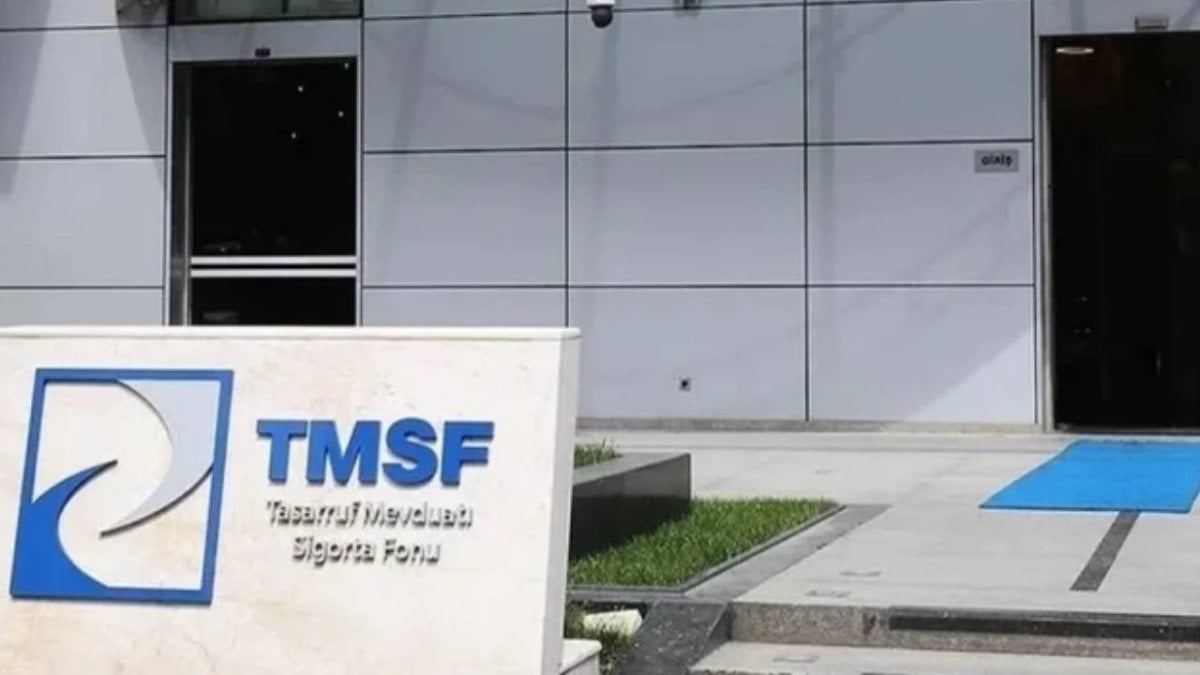 TMSF, dev enerji şirketini satışa çıkardı