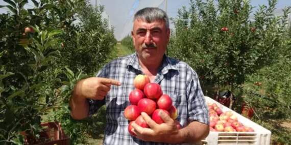 Kayseri elması don vurdu ama pes etmedi! İlk hasat Dubai ve Libya yolcusu: Kilosu 50 liradan satılıyor