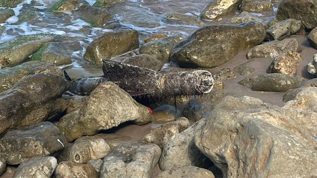 SAS ekipleri devreye girdi: Şile sahilinde şüpheli cisim