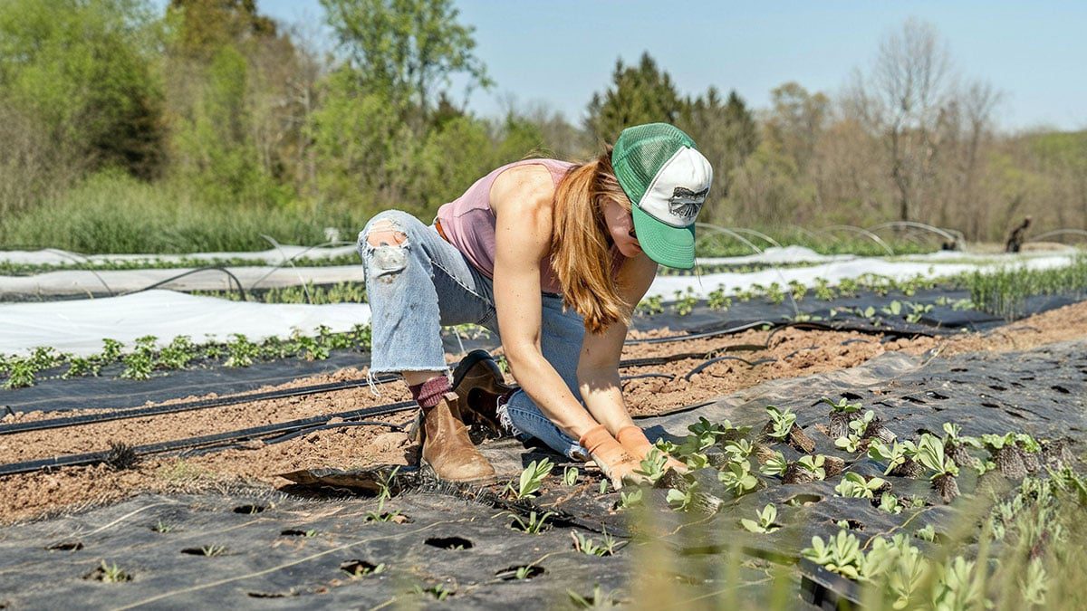 Gençlere yeni köy teşviki! Bedelsiz arazi ve ev desteği geliyor