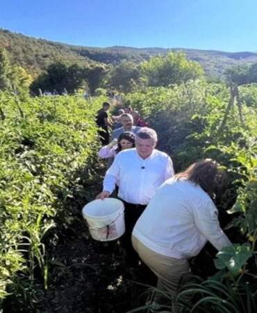 Sinop’un tescilli domatesinde hasat başladı: Vali önce toprağı övdü, ardından uyardı: “Gelecekte daha çok sorun yaşayabiliriz”