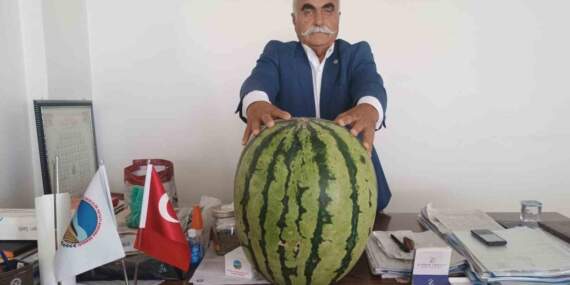 Batman Ovası’ndan rekor çıktı: Tam 45 kiloluk dev karpuz görenleri şaşkına çevirdi!