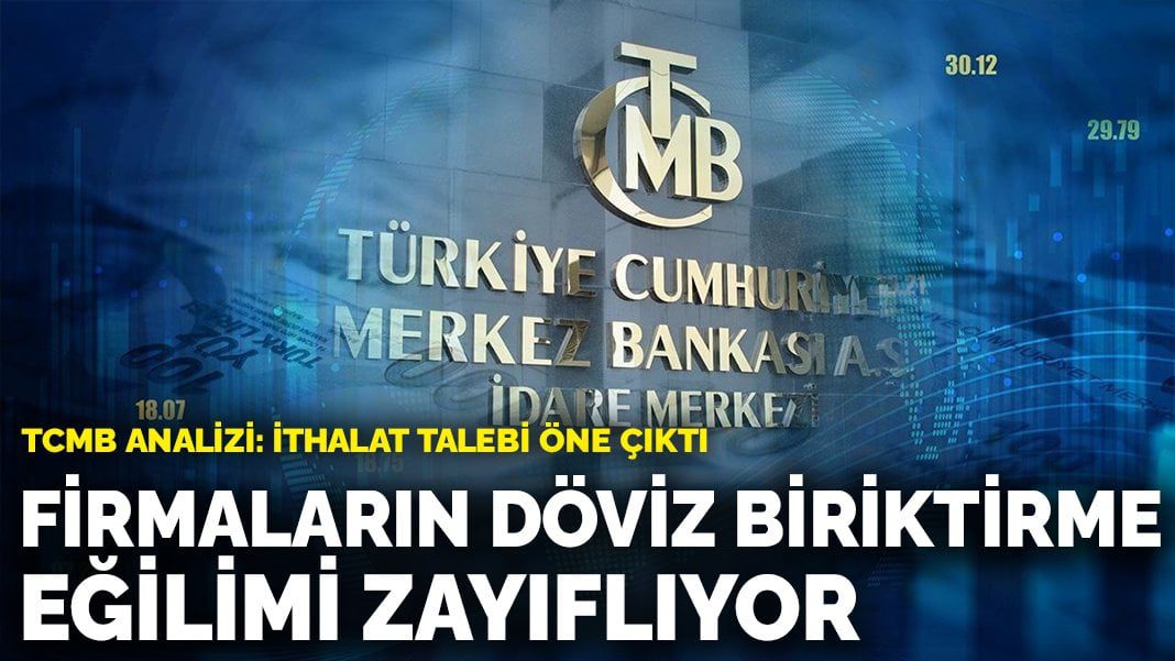 TCMB analizi: Firmaların döviz biriktirme eğilimi zayıflıyor