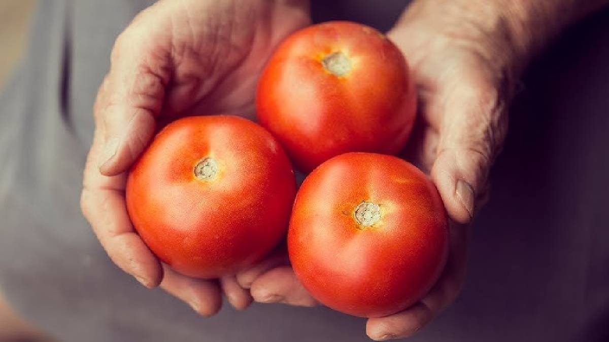 Buzdolabına koymadan önce mutlaka yapın! Domatesin ömrünü uzatan yöntem: Basit ama etkili…