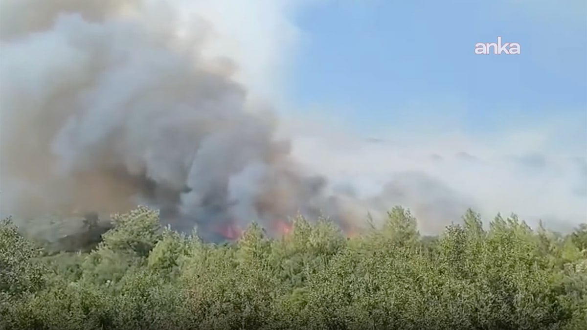 3 il alevlere teslim! Adana, Muğla ve Osmaniye’de orman yangını