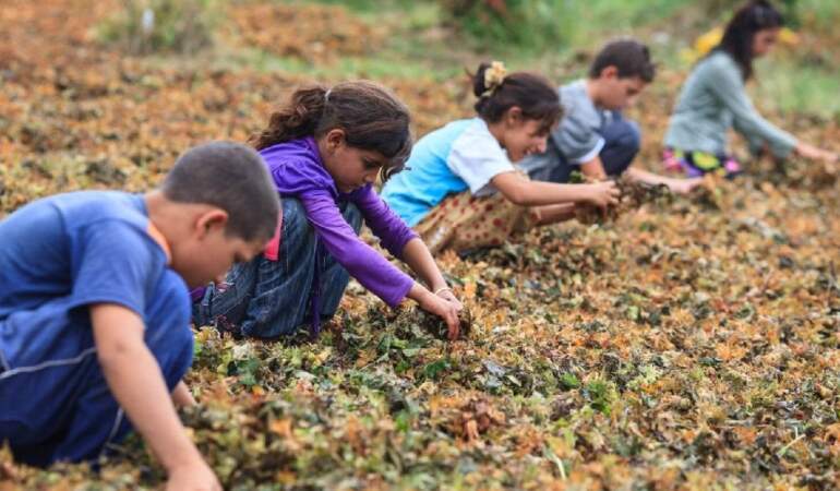 Türkiye’de çocuk yoksulluğu arttı: 171 bin çocuk risk altında
