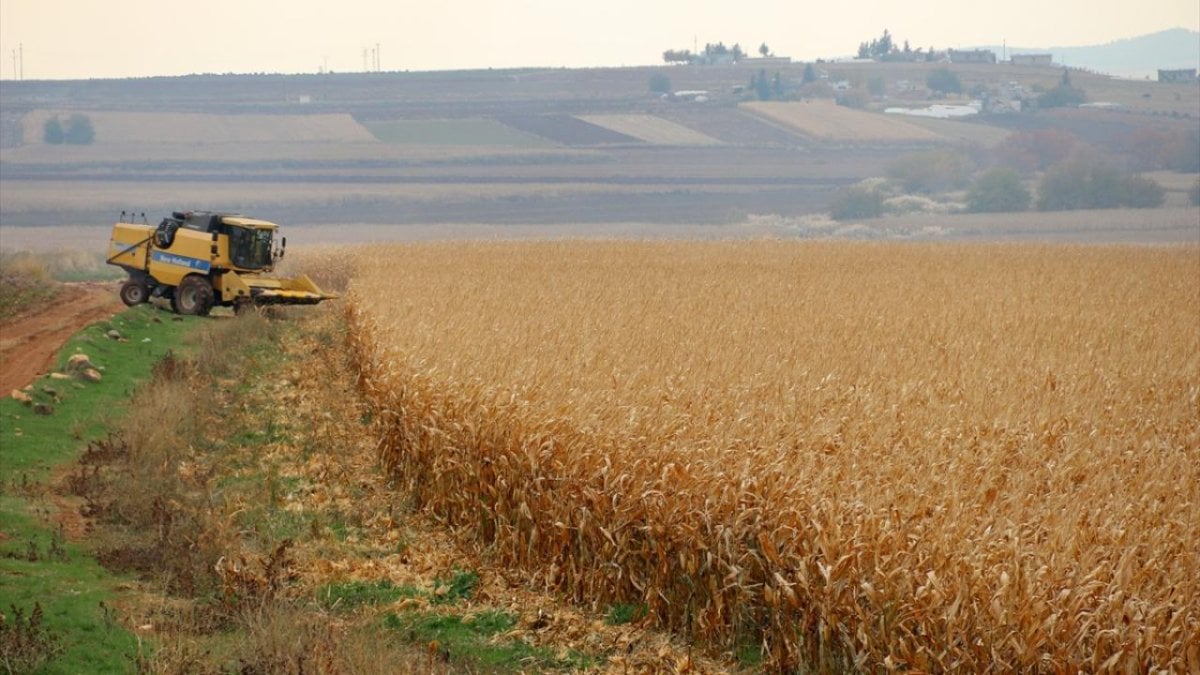 Bu karar cebinizi yakacak! Mısır ve pancar üreticileri isyanda: Türkiye’de enerji fiyatları yeniden yükselişe geçebilir