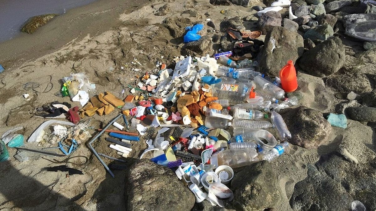 Vahim tablo! Karadeniz sahilleri, insan eliyle çöplüğe dönüştü