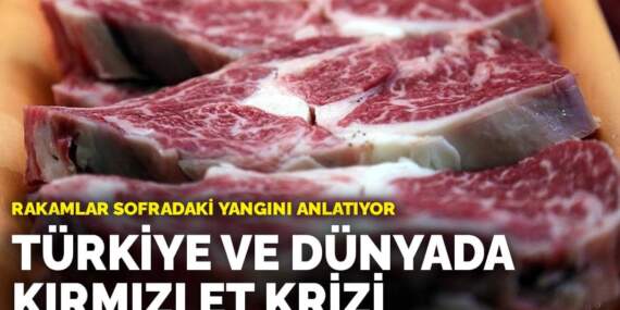 Türkiye ve dünyada kırmızı et krizi: Rakamlar sofradaki yangını anlatıyor