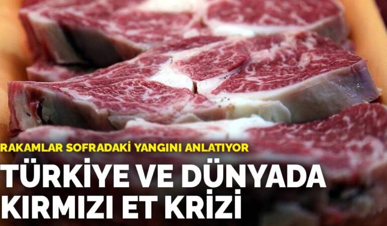 Türkiye ve dünyada kırmızı et krizi: Rakamlar sofradaki yangını anlatıyor
