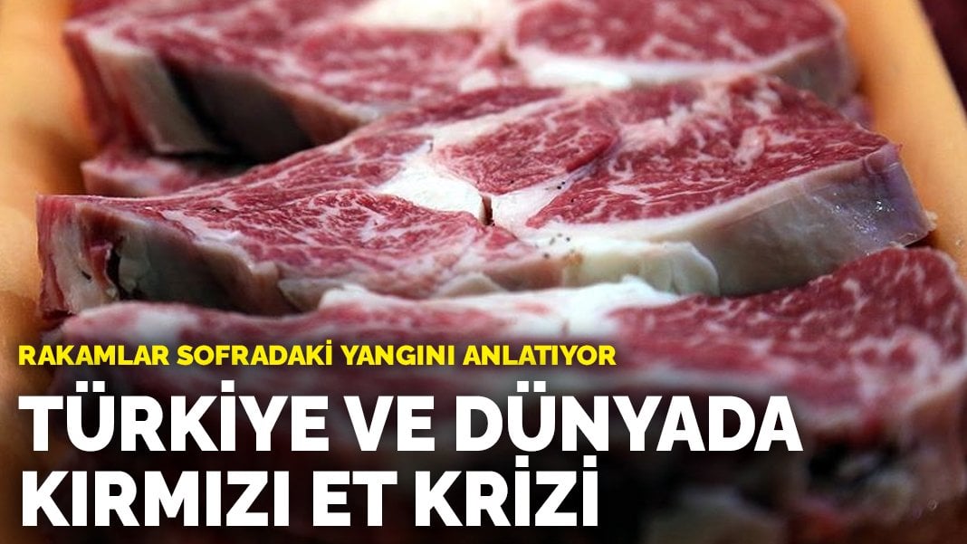 Türkiye ve dünyada kırmızı et krizi: Rakamlar sofradaki yangını anlatıyor