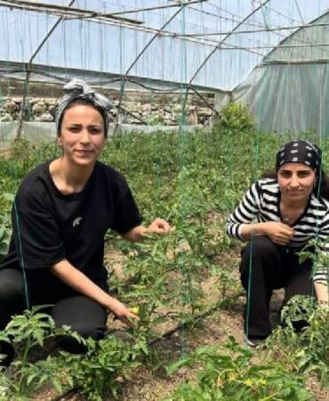 2 kuzen el ele verdi, evlerinin bahçesine kurdu! Ne bulduysa ektiler, kazançlarını paylaştılar! Aileye büyük destek
