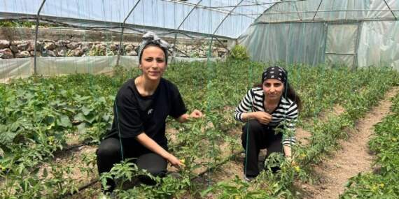 2 kuzen el ele verdi, evlerinin bahçesine kurdu! Ne bulduysa ektiler, kazançlarını paylaştılar! Aileye büyük destek