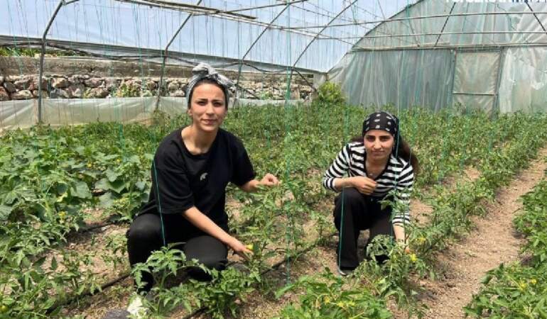 2 kuzen el ele verdi, evlerinin bahçesine kurdu! Ne bulduysa ektiler, kazançlarını paylaştılar! Aileye büyük destek