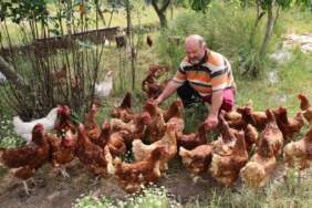Önce tavukla başladı, sonra kırmızı elmasa yöneldi! Bahçesini ziyarete açtı, şimdi daha çok kazanıyor
