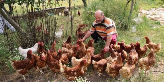 Önce tavukla başladı, sonra kırmızı elmasa yöneldi! Bahçesini ziyarete açtı, şimdi daha çok kazanıyor